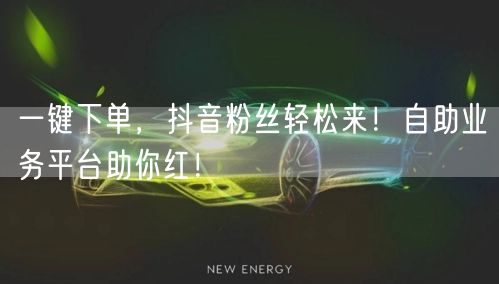 一键下单，抖音粉丝轻松来！自助业务平台助你红！