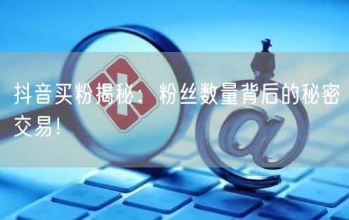 抖音买粉揭秘：粉丝数量背后的秘密交易！