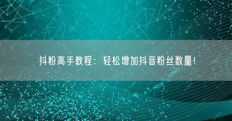 抖粉高手教程：轻松增加抖音粉丝数量！