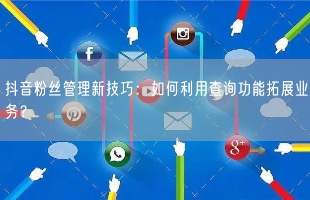 抖音粉丝管理新技巧：如何利用查询功能拓展业务？