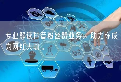 专业解读抖音粉丝赞业务，助力你成为网红大咖。