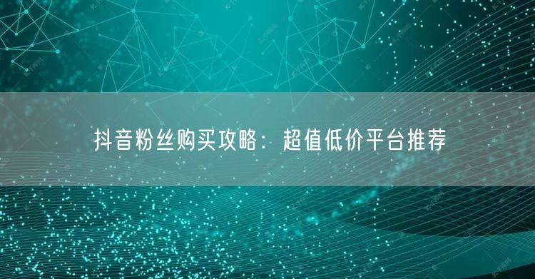 抖音粉丝购买攻略：超值低价平台推荐