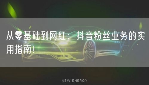 从零基础到网红：抖音粉丝业务的实用指南！
