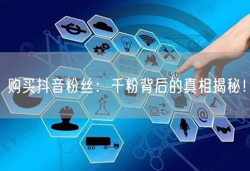 购买抖音粉丝：千粉背后的真相揭秘！