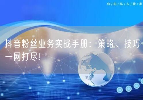 抖音粉丝业务实战手册：策略、技巧一网打尽!