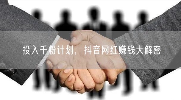 投入千粉计划，抖音网红赚钱大解密