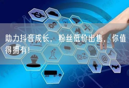 助力抖音成长，粉丝低价出售，你值得拥有！