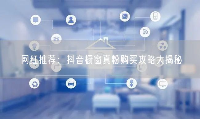网红推荐：抖音橱窗真粉购买攻略大揭秘