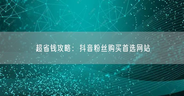 超省钱攻略：抖音粉丝购买首选网站