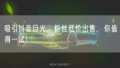 吸引抖音目光，粉丝低价出售，你值得一试！