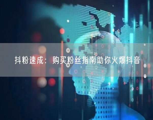 抖粉速成：购买粉丝指南助你火爆抖音