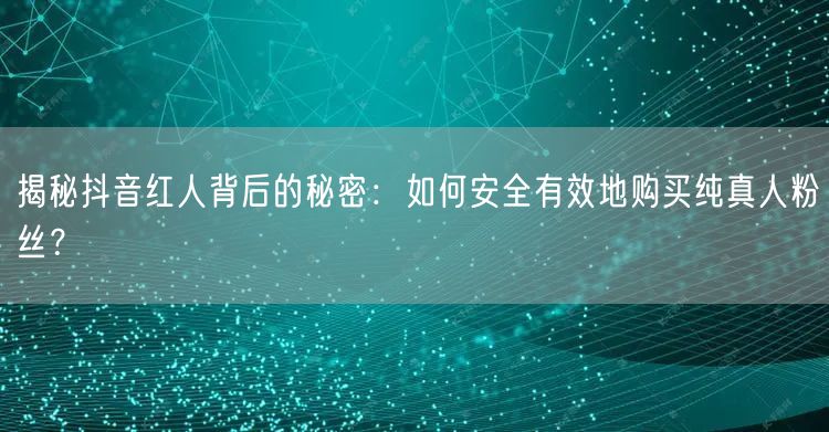 揭秘抖音红人背后的秘密：如何安全有效地购买纯真人粉丝？