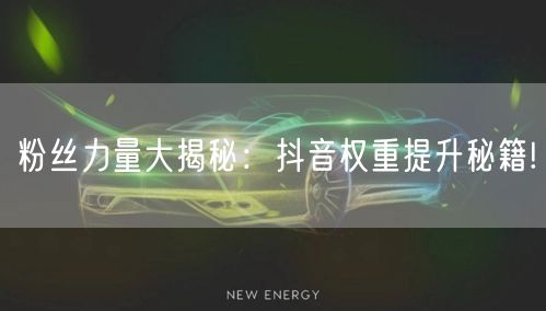 粉丝力量大揭秘：抖音权重提升秘籍!