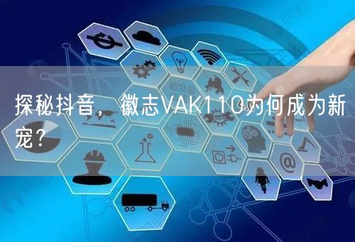 探秘抖音，徽志VAK110为何成为新宠？
