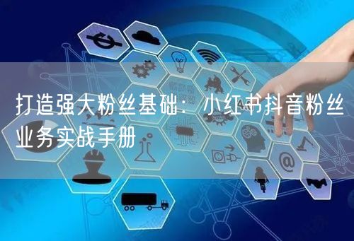 打造强大粉丝基础：小红书抖音粉丝业务实战手册