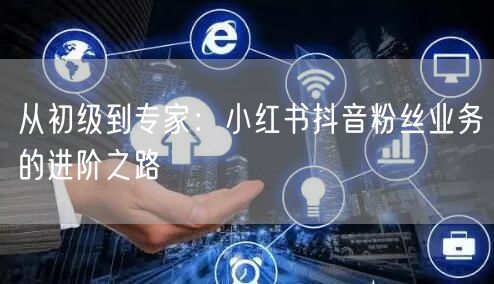 从初级到专家：小红书抖音粉丝业务的进阶之路