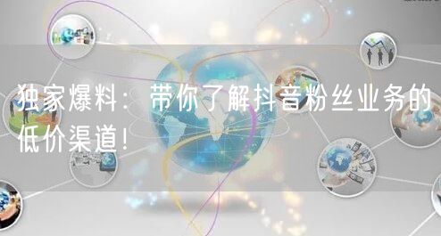 独家爆料：带你了解抖音粉丝业务的低价渠道！