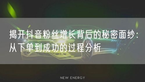 揭开抖音粉丝增长背后的秘密面纱：从下单到成功的过程分析