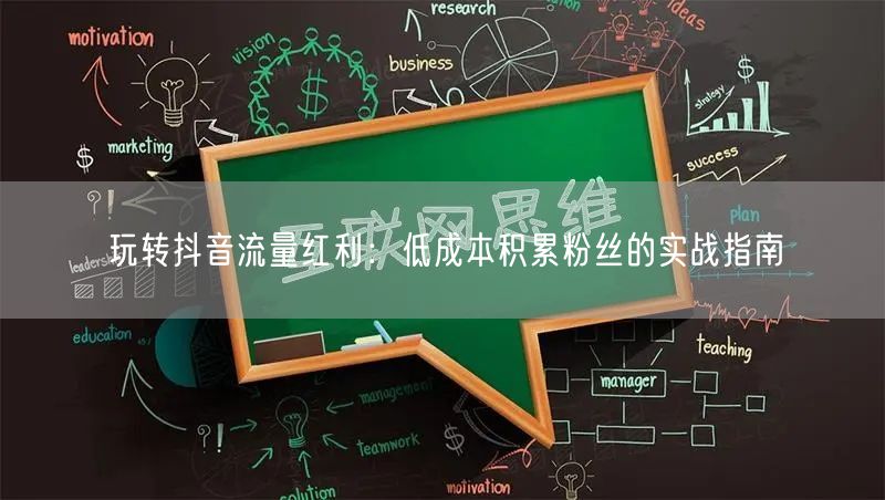 玩转抖音流量红利：低成本积累粉丝的实战指南