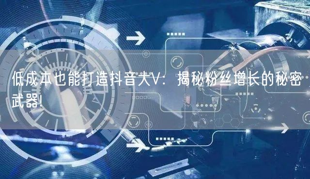 低成本也能打造抖音大V：揭秘粉丝增长的秘密武器!