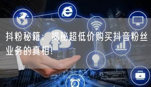 抖粉秘籍：揭秘超低价购买抖音粉丝业务的真相！