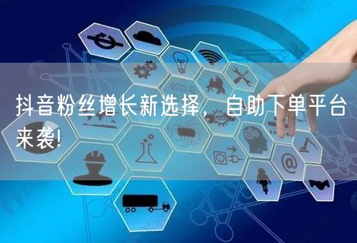 抖音粉丝增长新选择，自助下单平台来袭!